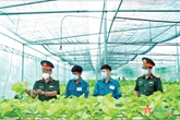 Lực lượng vũ trang huyện Bắc Tân Uyên: Đẩy mạnh tăng gia sản xuất nâng cao đời sống bộ đội